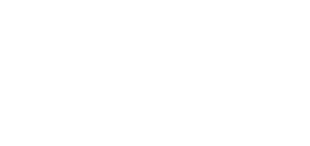 LanPro Argan Oil